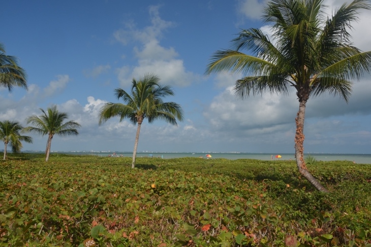 sanibel beach